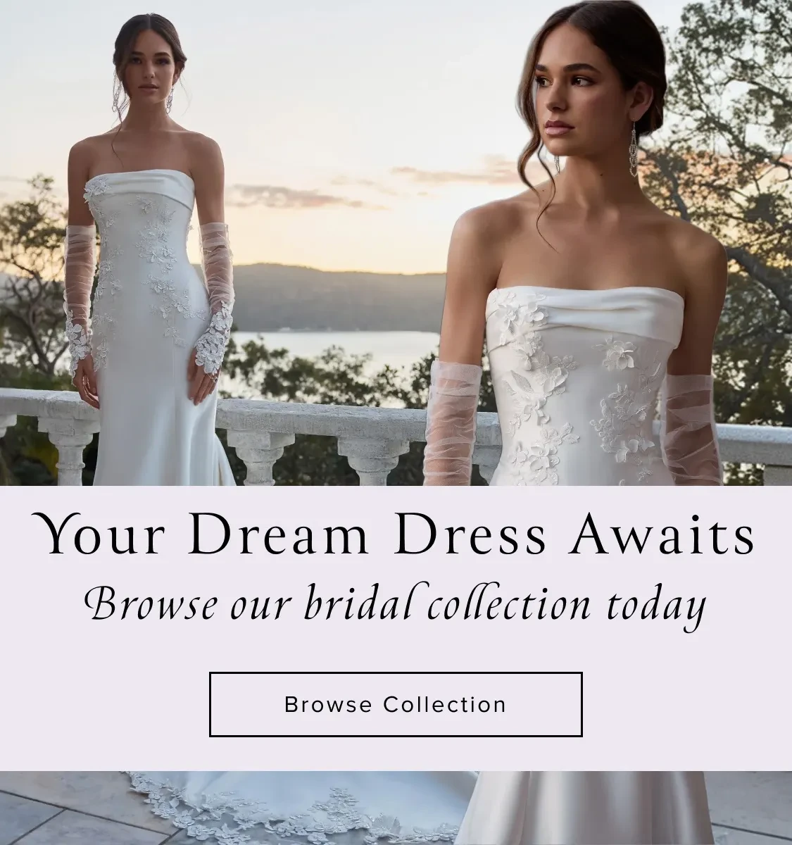 sophia tolli banner 2026